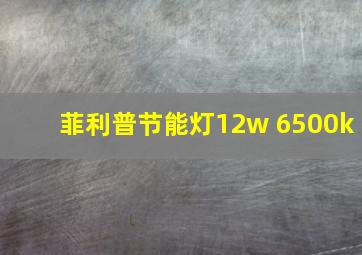 菲利普节能灯12w 6500k